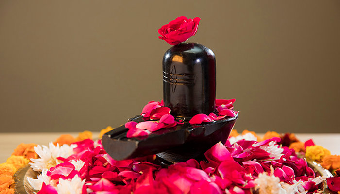 online pandit services in india for rudrabhishek pooja
